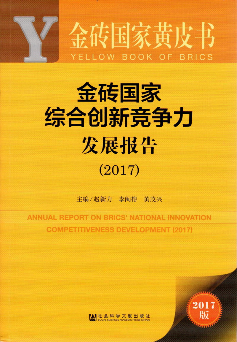 操逼免费资源网操逼免费金砖国家综合创新竞争力发展报告（2017）